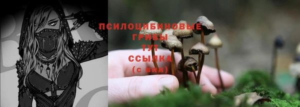 прущие крисы Алексеевка