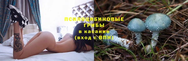 прущие крисы Алексеевка