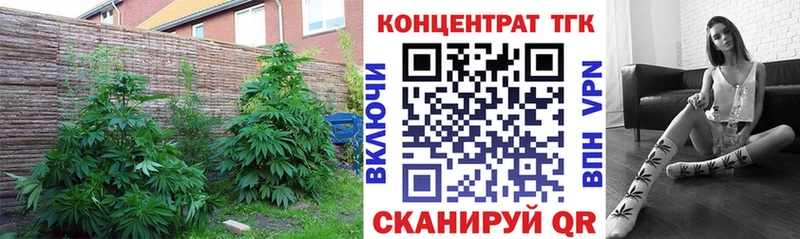 KRAKEN вход  Ахтубинск  ТГК вейп  сколько стоит 