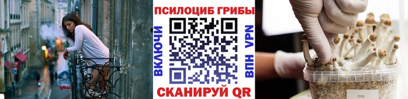 Галлюциногенные грибы GOLDEN TEACHER  наркошоп  Ахтубинск 
